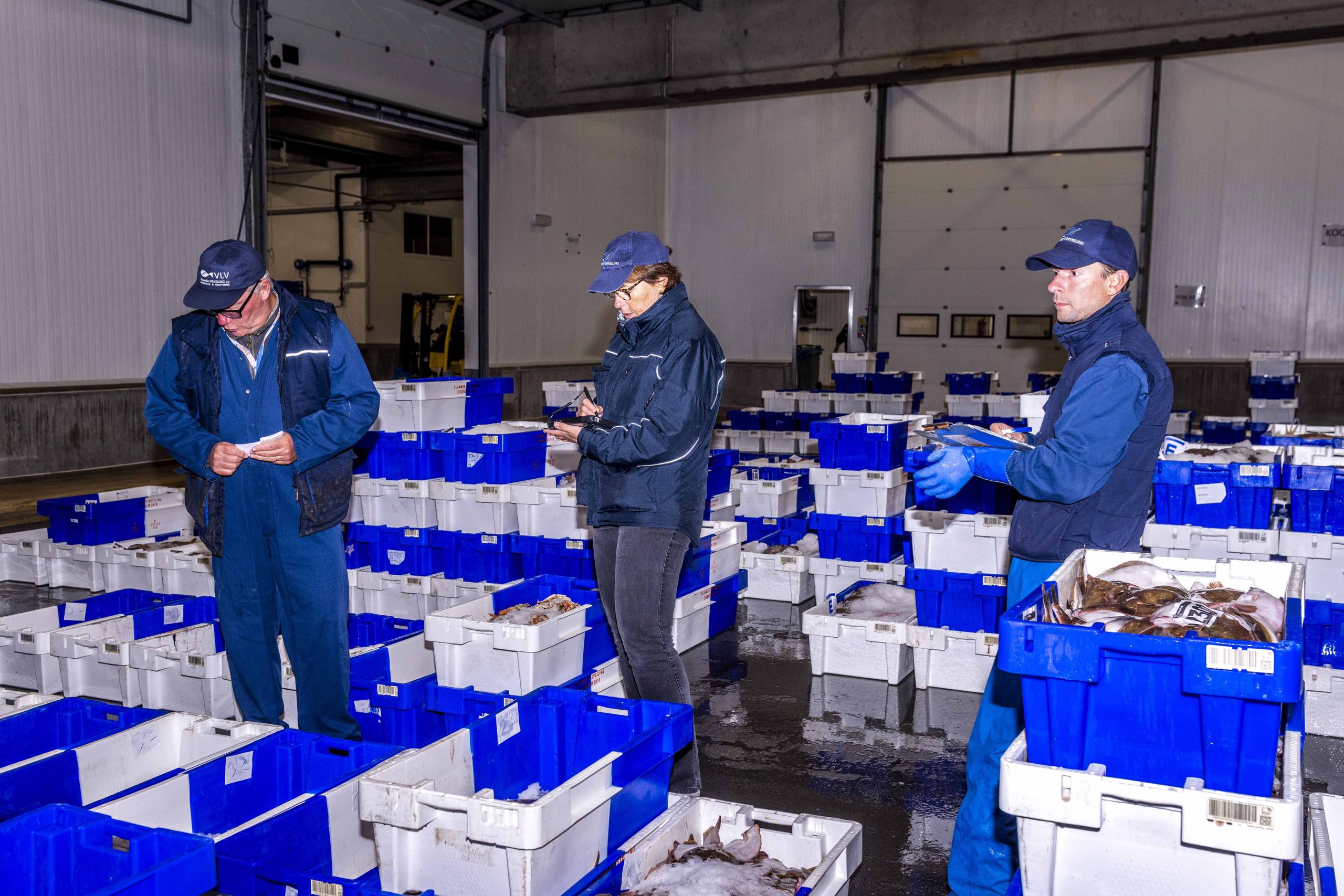 Visveiling in Zeebrugge 30